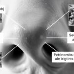 Nasal Polyps Warning Signs and Symptoms